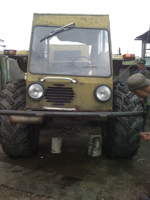 товарищь наш