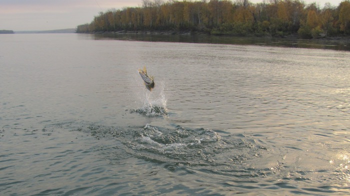 Свечка