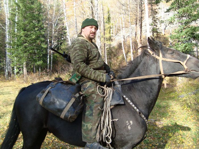 Чарышский район 2010 на кабана.