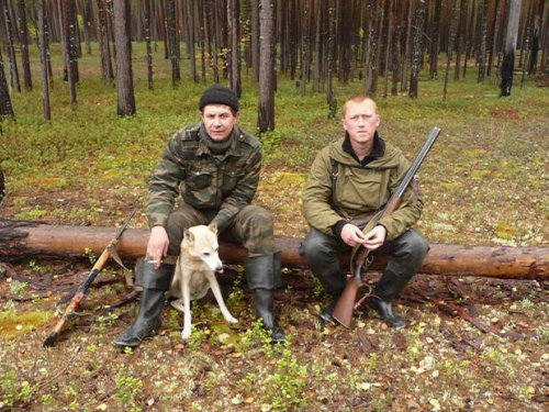 Помошница Тайга