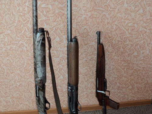 мои стволы.