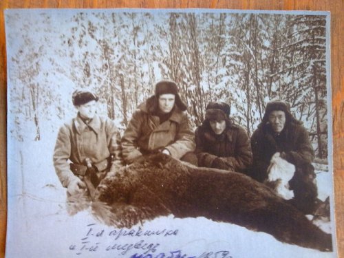 Первый медведь в ноябре 1959