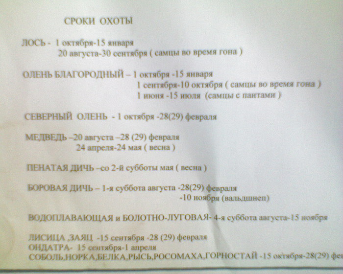 Сроки охоты
