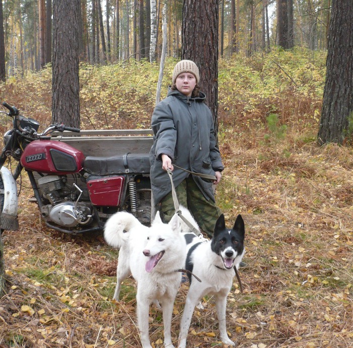 мои помошники