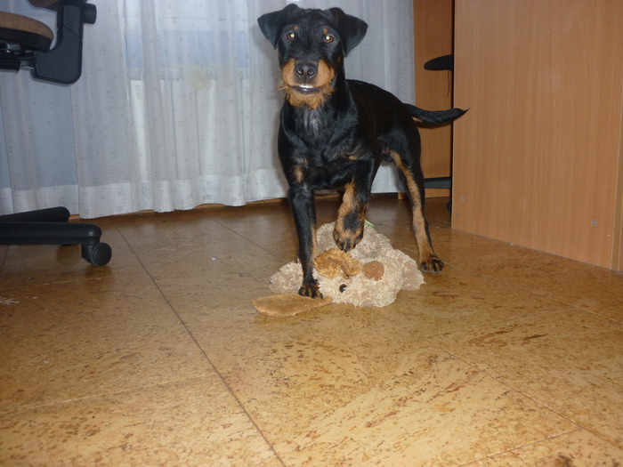 Очередной игрушке каюк))
