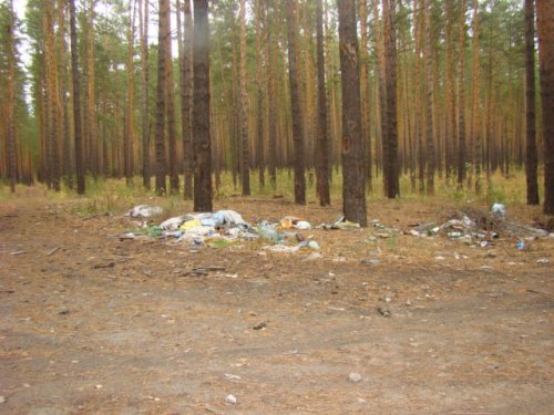  свалка на природе