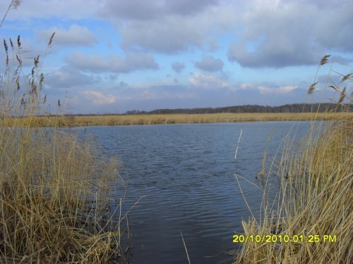 Малоизвестное озеро Карасево.