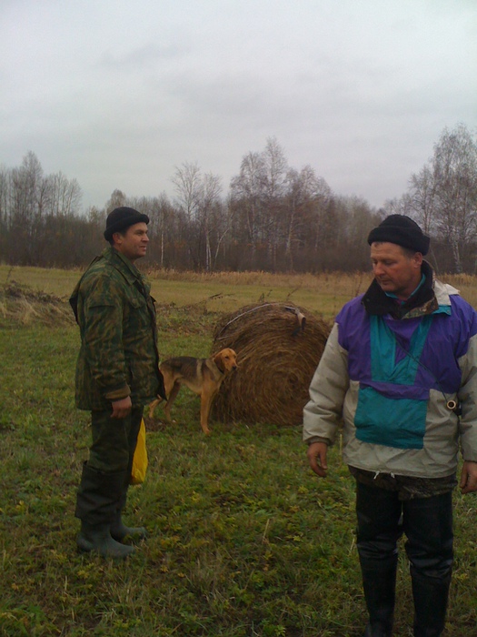 Соловей.