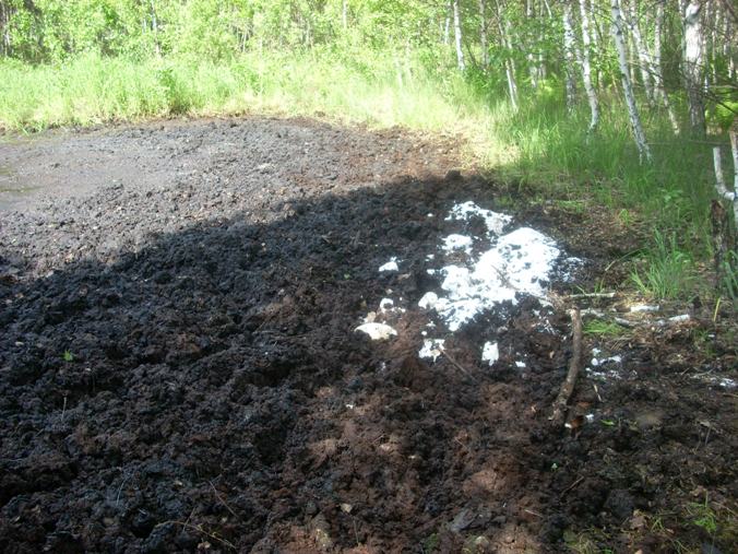 При формировании солонцов вода перемещается. Солонцы почвы. Моллик Солонцы. Естественные Солонцы. Грунтовый солонец.
