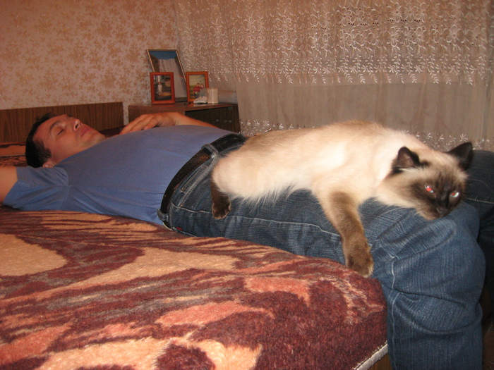 Охраняет покой хозяина