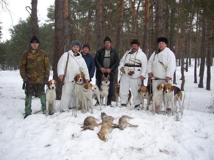 Собачники