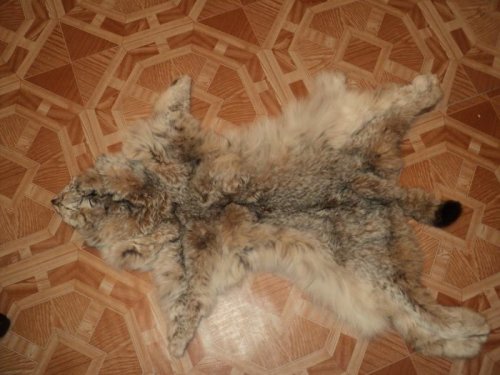 она же