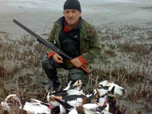 Пеганки