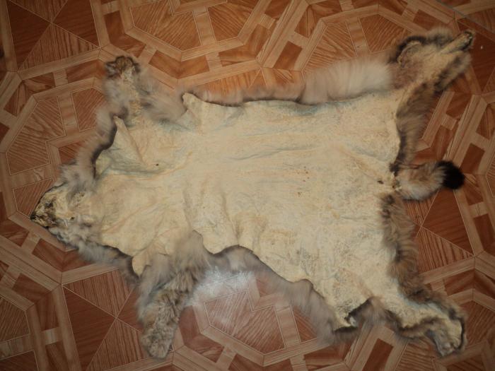 она же с тыла