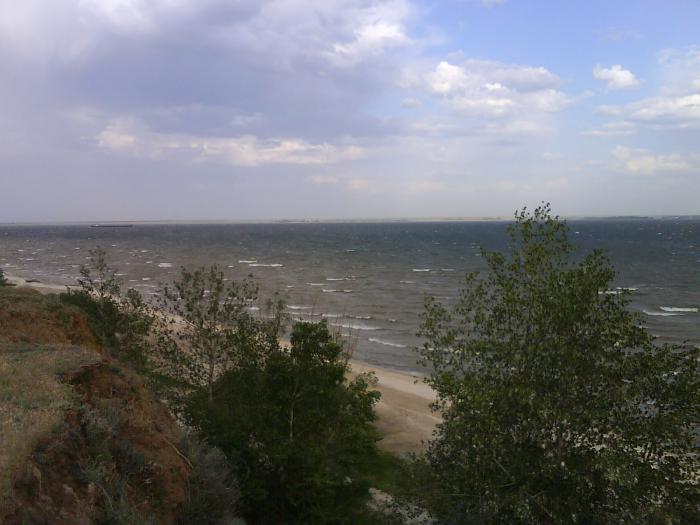 суворовка 