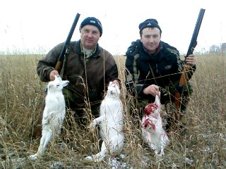 Ноябрь 2010
