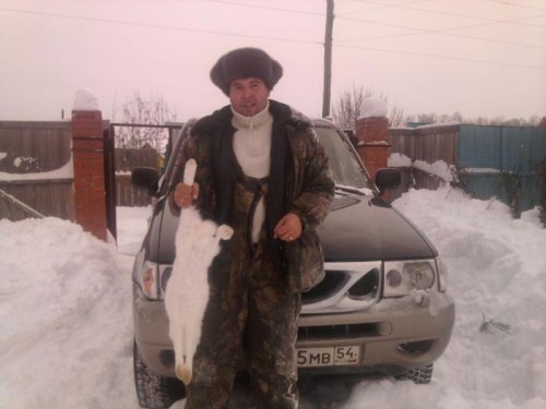 зайцон