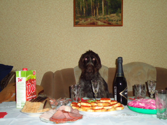С Новым годом! Тайра