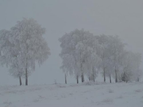 пейзаш зимы.