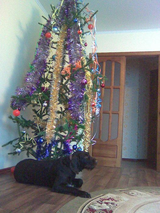 С Новым Годом!!!