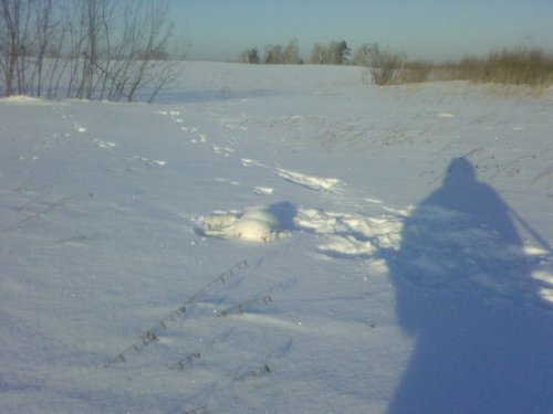 В прошедшие выходные