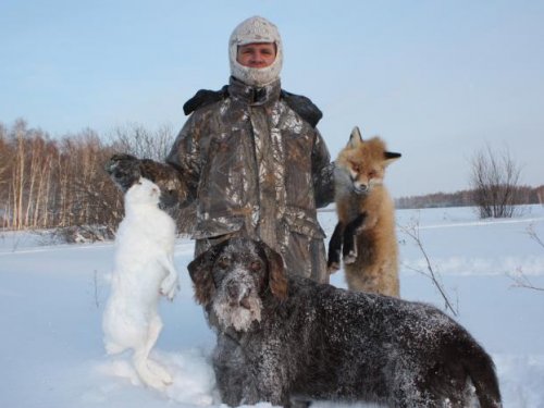 НОООиР Секция контентальных легавых. Первая охота в 2011г 