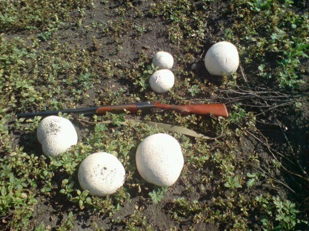 нашел в архиве