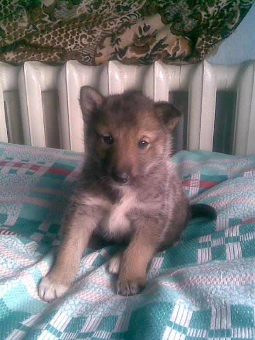 1 Месяц и 2 дня