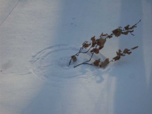 Леший рисует на снегу.. 