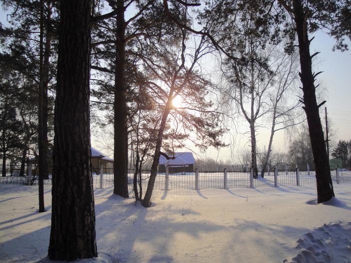 Кашламский бор новосибирск карта