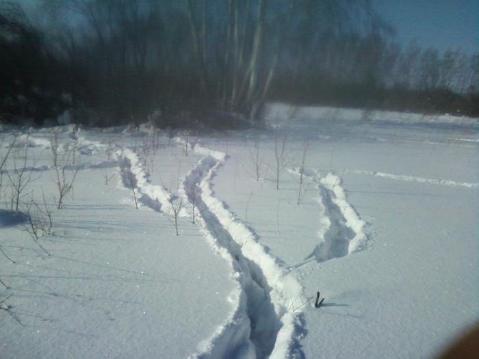 "козий тризубец"