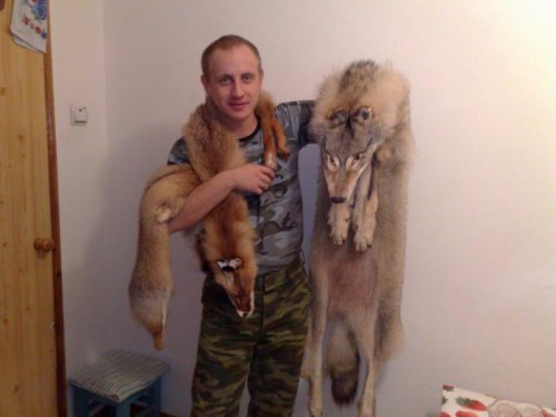 Волк