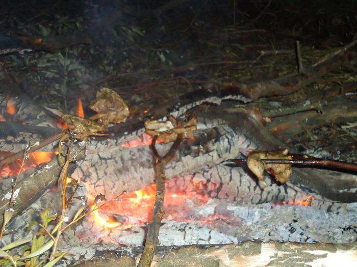 Осень - Мясо жарим на Костре.