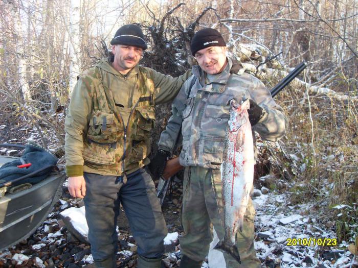 лосось