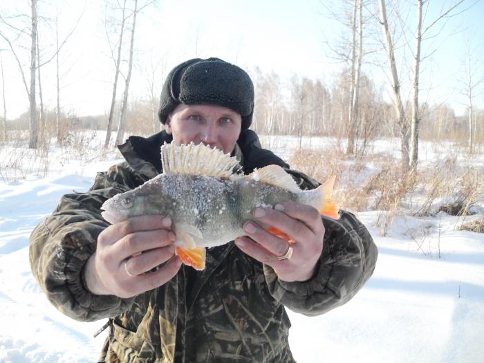 Окушок!!