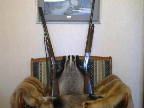 Натюрморт