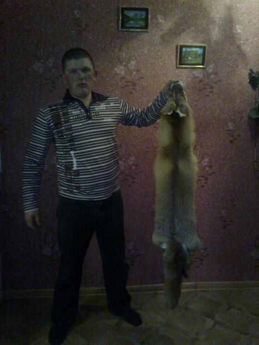 Лисовин. Взят в этом охотничьем сезоне.