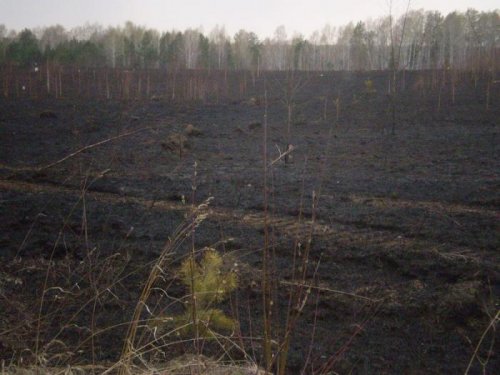 Будьте осторожны с огнем в лесу.