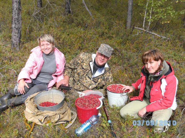В ПЕРЕРЫВАХ МЕЖДУ ЗОРЬКАМИ