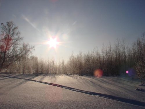 Тогучинский район. Морозное утро.