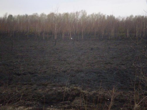 берегите природу,мать вашу