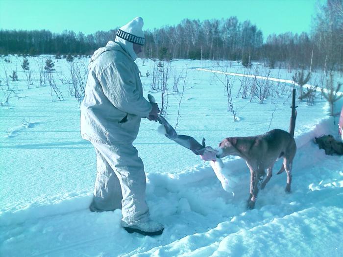 Помощник во всем