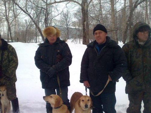 Выставка собак в г.Бугульма, Татария.