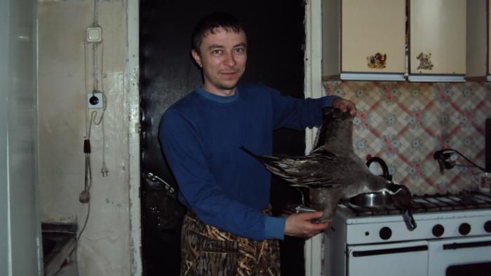 шилик