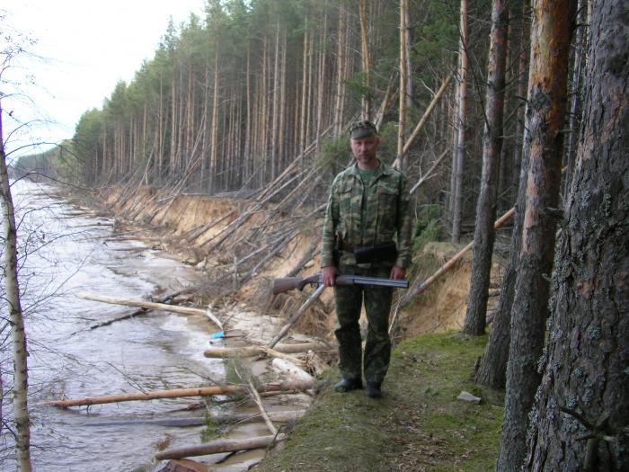 Берег Горьковского водохранилища