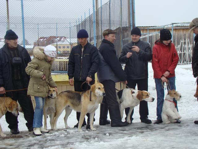 выставка в с.Первомайское ТО