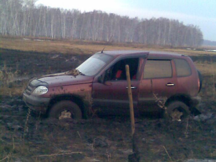 сильно
