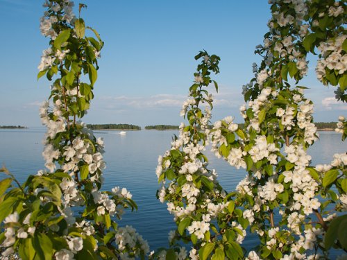 Обское &quot;море&quot;.