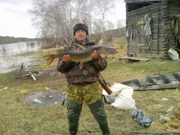 Погода инкино томская область. Инкино Колпашевский район Томская область. Село Инкино Колпашевский район. Село Инкино Колпашевский район Томская область. Деревня Инкино.