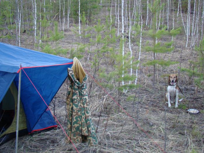 День приезда на состязания